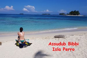 Dog Island Panama: Comprehensive Guide to Services and Activities